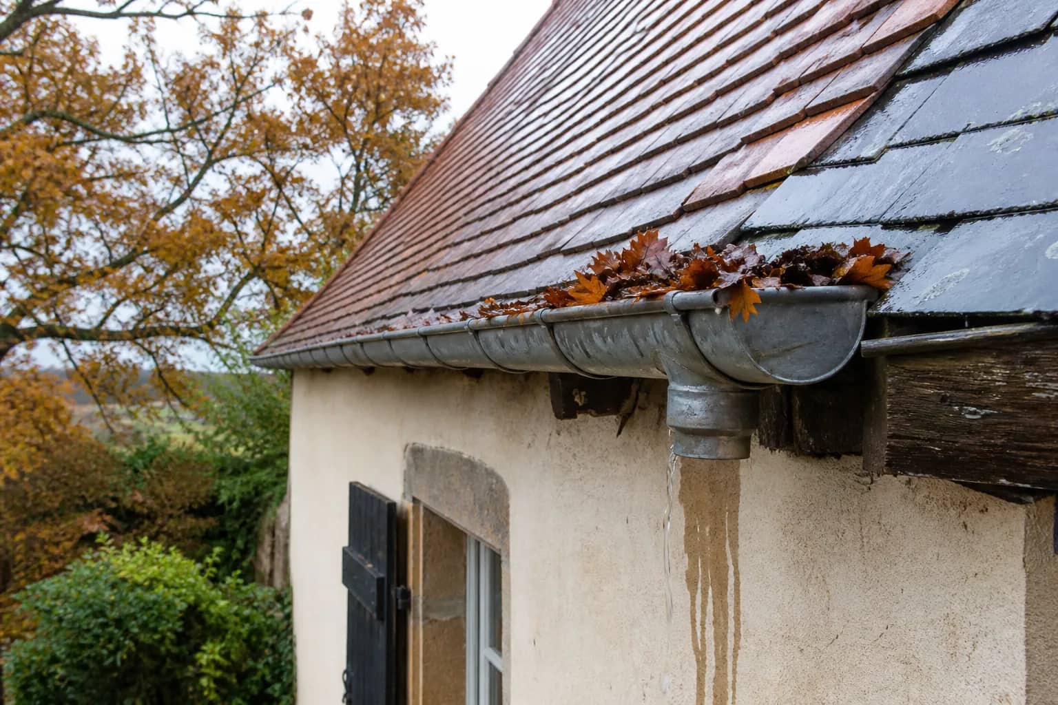 Feuilles d'automne accumulées dans la gouttière en zinc d'une maison sarthoise