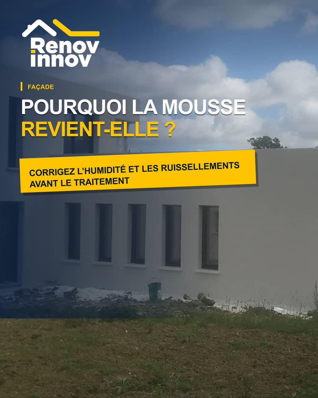 Visuel éditorial Rénov Innov pour l’article « Algues et mousses sur une façade : comment limiter leur retour ? »