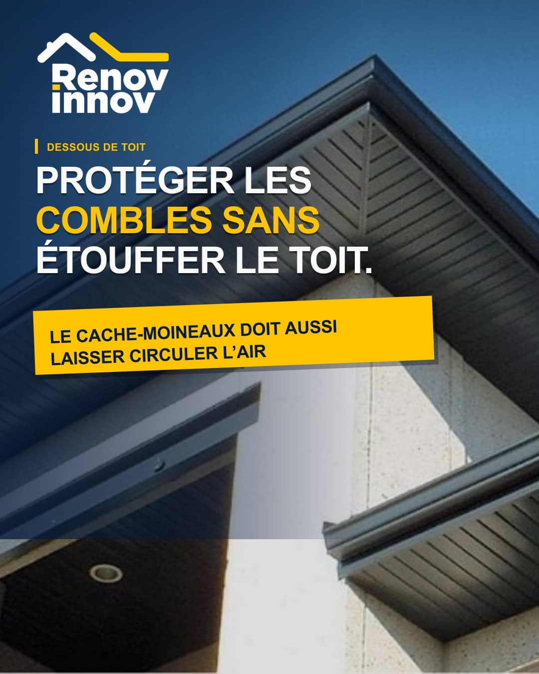 Visuel éditorial Rénov Innov pour l’article « Cache-moineaux : protéger les combles sans bloquer l'aération »